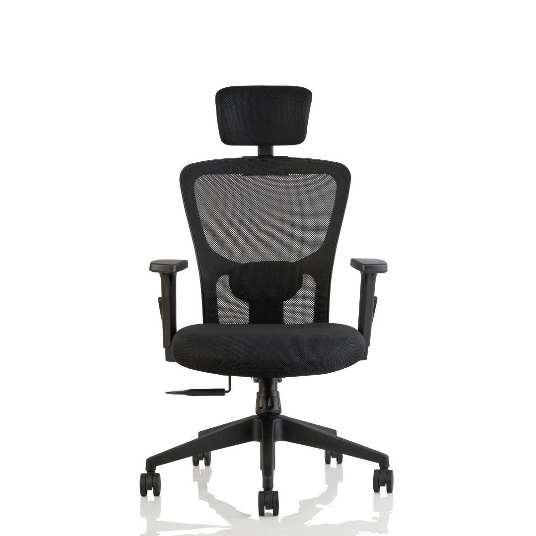 ErgoCore High Back Office Chair – Back Lumbar Support, Headrest, Mesh Back, Black
