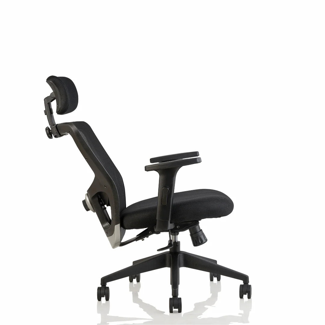 ErgoCore High Back Office Chair – Back Lumbar Support, Headrest, Mesh Back, Black