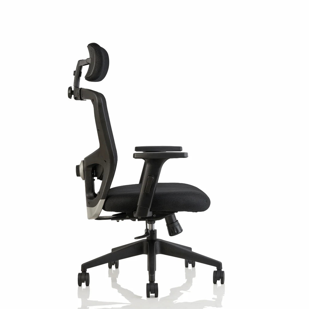 ErgoCore High Back Office Chair – Back Lumbar Support, Headrest, Mesh Back, Black